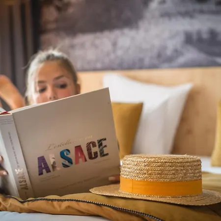 L' Hôtel&spa Ribeauville-colmar Nord Hotel Ribeauvillé