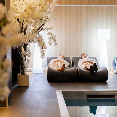 Hotel L' Hôtel&spa Ribeauville-colmar Nord